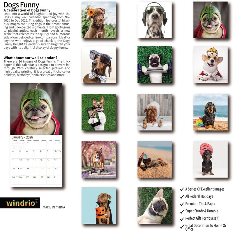 windrio 2026 Wall Calendar,Funny Calendar 2026, November 2025 - December 2026, Wall Calendar Funny Animal Memes, 12" x 24" Opened, Full Page 14 Months Thick Paper for Gift Calendar Organizing Planning - Image 2